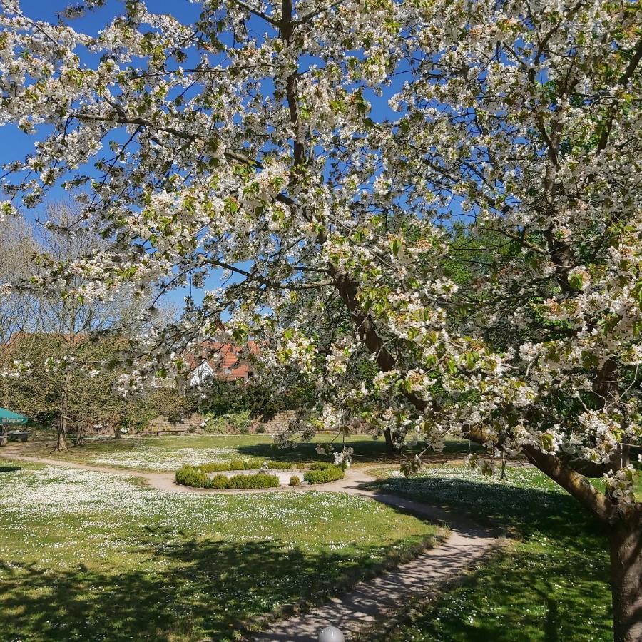 Alleehotel Europa Bensheim Zewnętrze zdjęcie