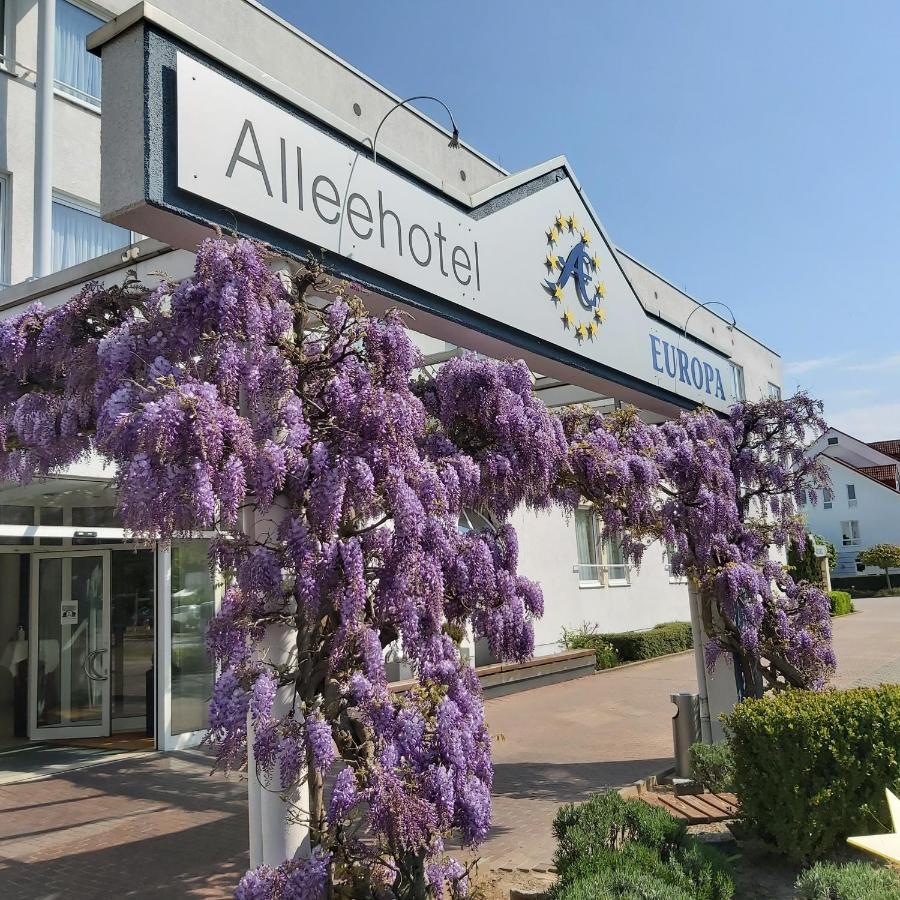 Alleehotel Europa Bensheim Zewnętrze zdjęcie