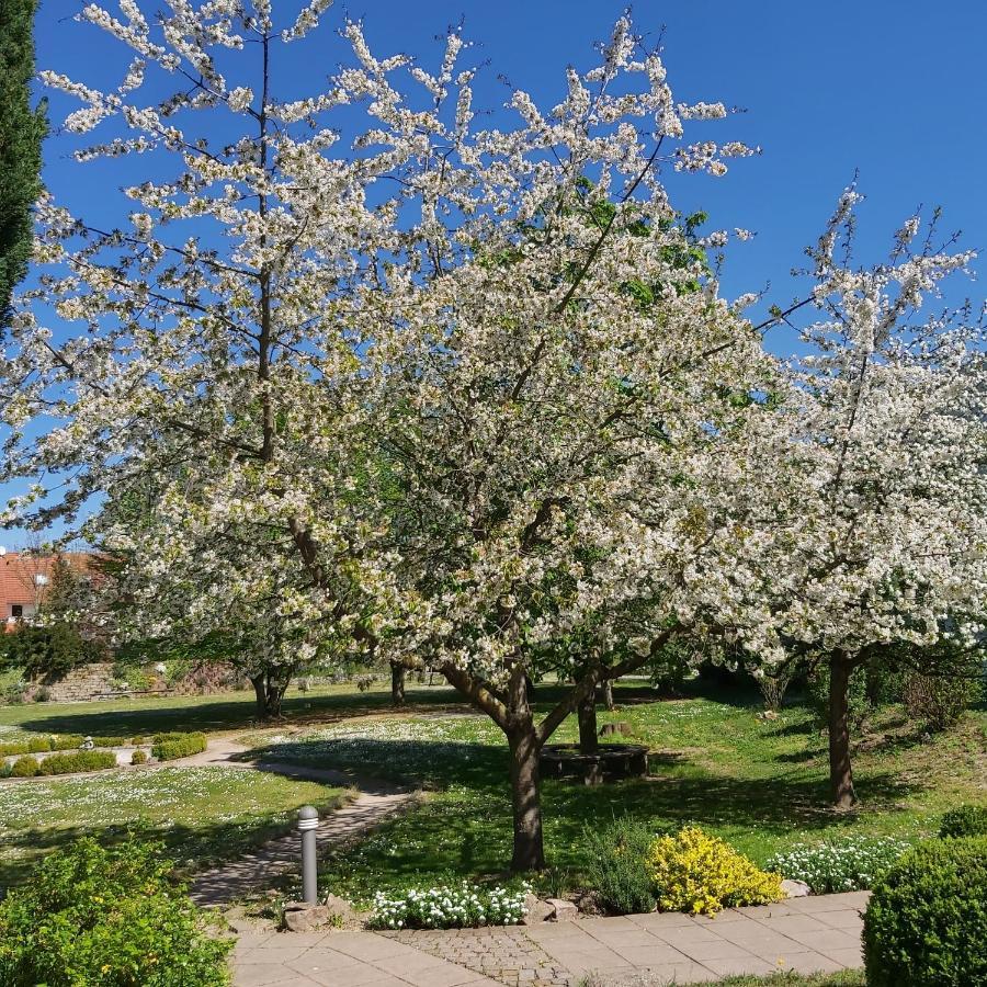 Alleehotel Europa Bensheim Zewnętrze zdjęcie